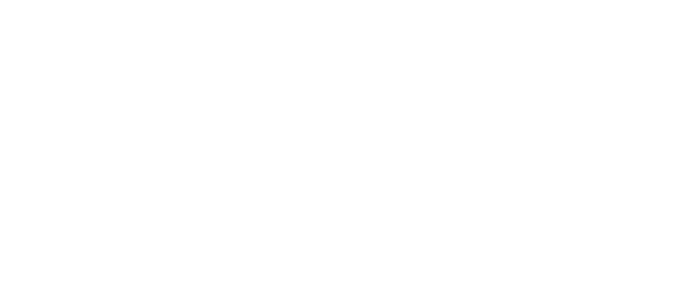 Runir: The Rune Dictionary