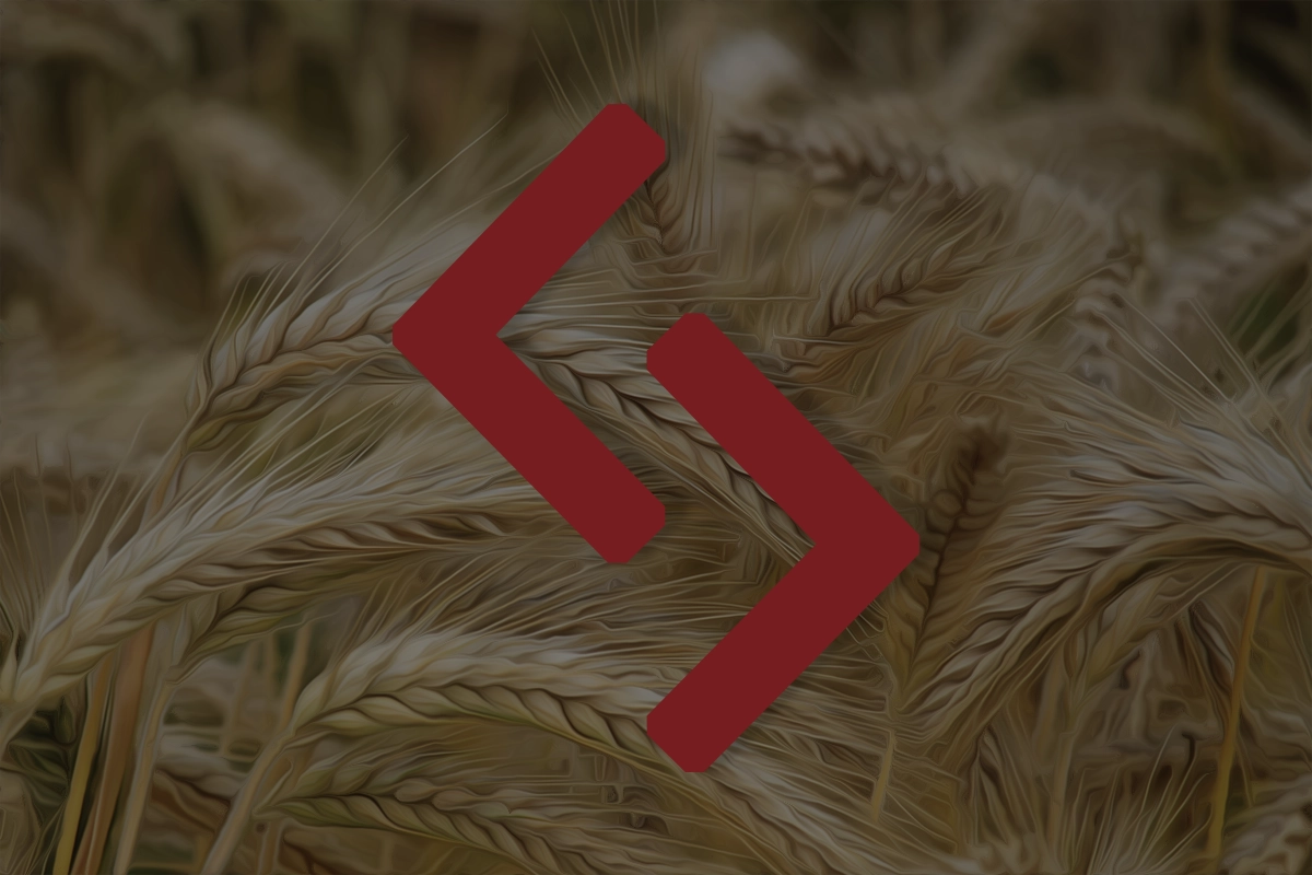 A field of wheat overlaid with the Jera rune in red.