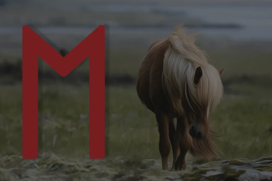 Image shows a horse in a field overlaid with the Ehwaz rune in red.